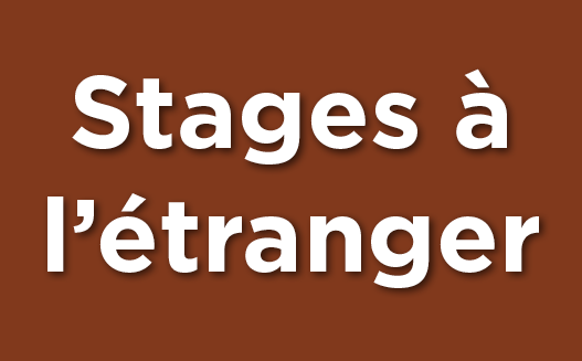stage à l'étranger DSP
